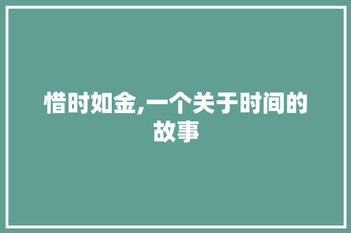 惜时如金,一个关于时间的故事