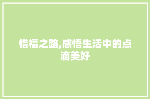 惜福之路,感悟生活中的点滴美好