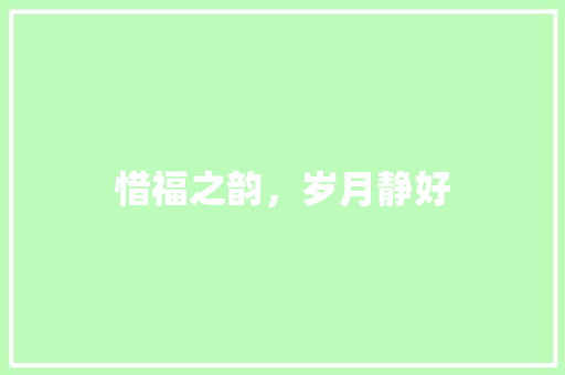 惜福之韵，岁月静好