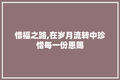 惜福之路,在岁月流转中珍惜每一份恩赐