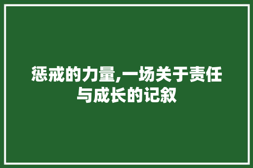 惩戒的力量,一场关于责任与成长的记叙