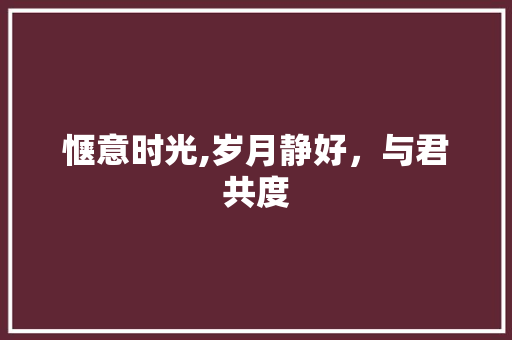 惬意时光,岁月静好，与君共度