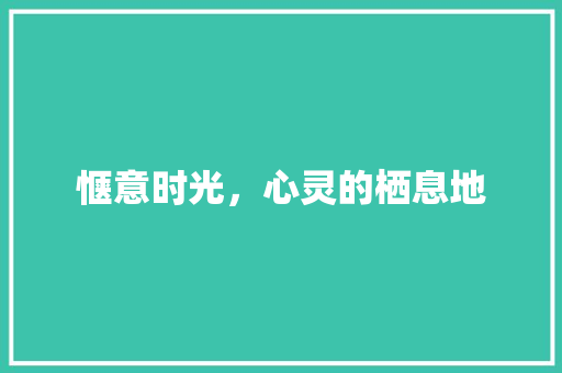 惬意时光，心灵的栖息地