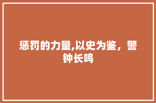 惩罚的力量,以史为鉴，警钟长鸣