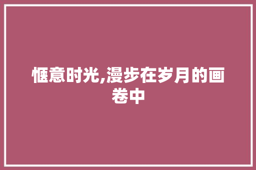 惬意时光,漫步在岁月的画卷中