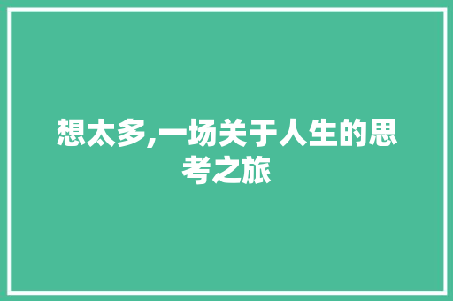 想太多,一场关于人生的思考之旅