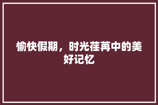 愉快假期，时光荏苒中的美好记忆