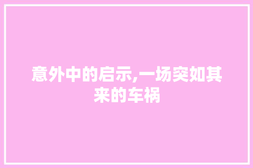 意外中的启示,一场突如其来的车祸