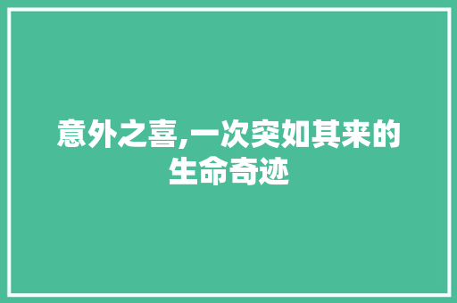 意外之喜,一次突如其来的生命奇迹