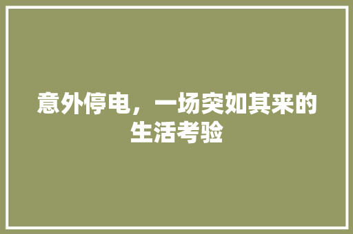 意外停电，一场突如其来的生活考验