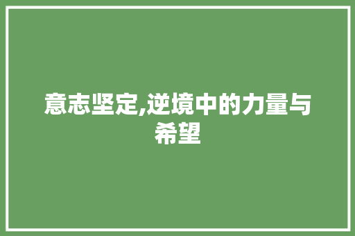 意志坚定,逆境中的力量与希望