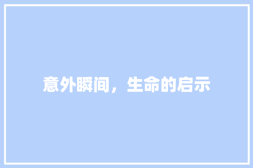 意外瞬间，生命的启示