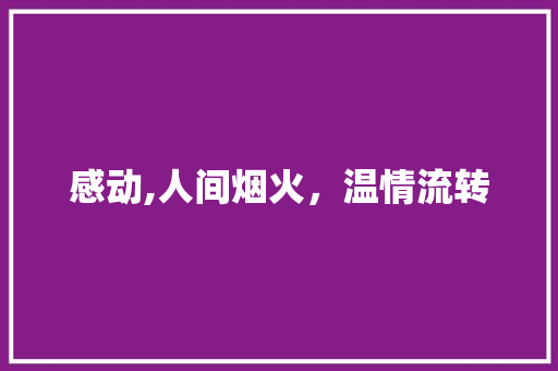 感动,人间烟火，温情流转