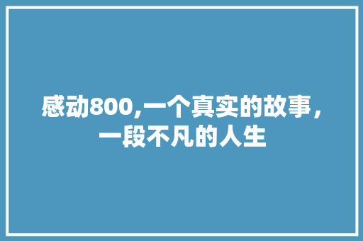 感动800,一个真实的故事，一段不凡的人生