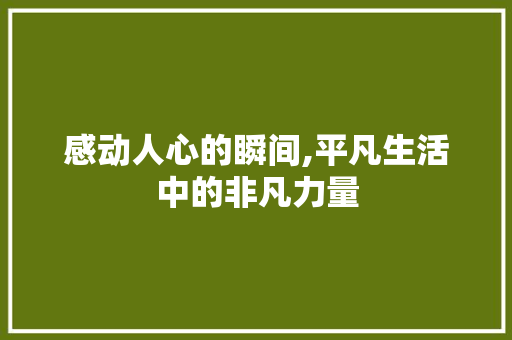 感动人心的瞬间,平凡生活中的非凡力量