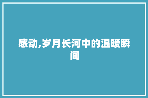 感动,岁月长河中的温暖瞬间