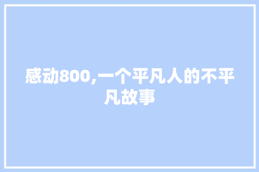 感动800,一个平凡人的不平凡故事