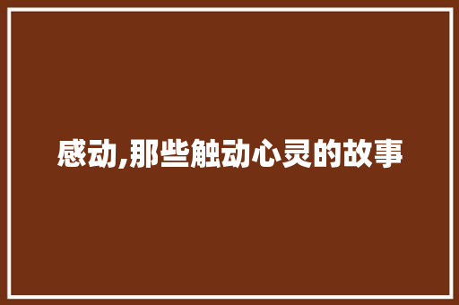 感动,那些触动心灵的故事