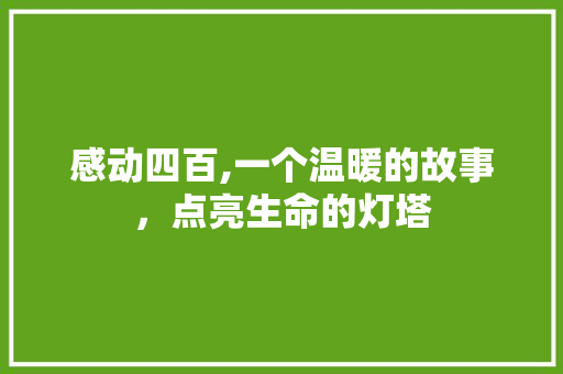 感动四百,一个温暖的故事，点亮生命的灯塔