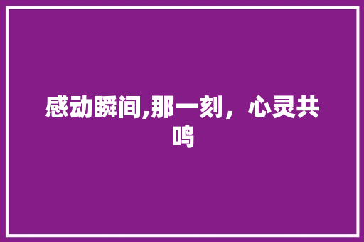 感动瞬间,那一刻，心灵共鸣