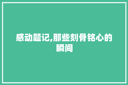 感动题记,那些刻骨铭心的瞬间