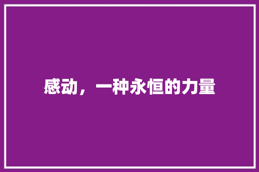 感动，一种永恒的力量