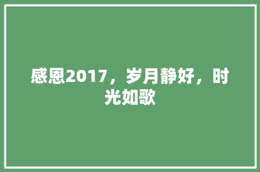 感恩2017，岁月静好，时光如歌