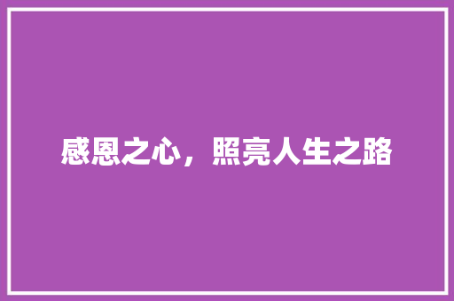 感恩之心，照亮人生之路