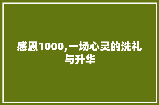 感恩1000,一场心灵的洗礼与升华