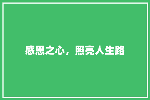 感恩之心，照亮人生路