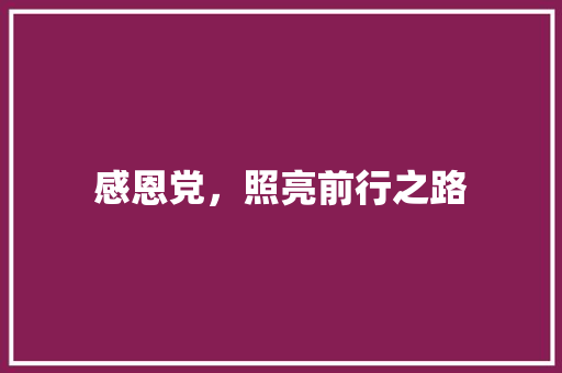 感恩党，照亮前行之路