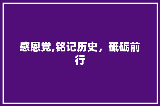 感恩党,铭记历史，砥砺前行