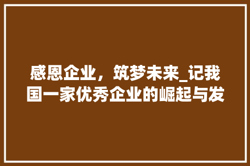 感恩企业，筑梦未来_记我国一家优秀企业的崛起与发展