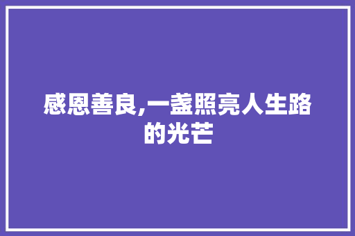 感恩善良,一盏照亮人生路的光芒