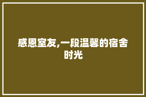 感恩室友,一段温馨的宿舍时光