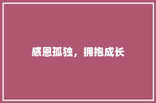 感恩孤独，拥抱成长