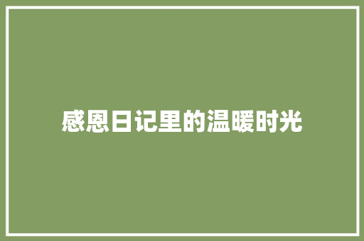 感恩日记里的温暖时光