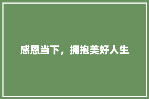 感恩当下，拥抱美好人生