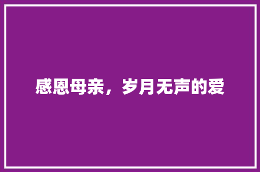 感恩母亲，岁月无声的爱