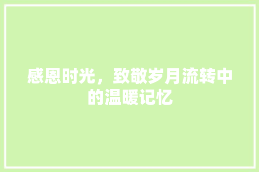 感恩时光，致敬岁月流转中的温暖记忆