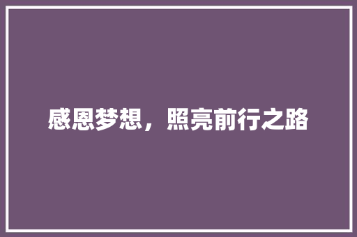 感恩梦想，照亮前行之路