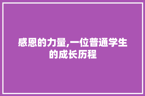 感恩的力量,一位普通学生的成长历程