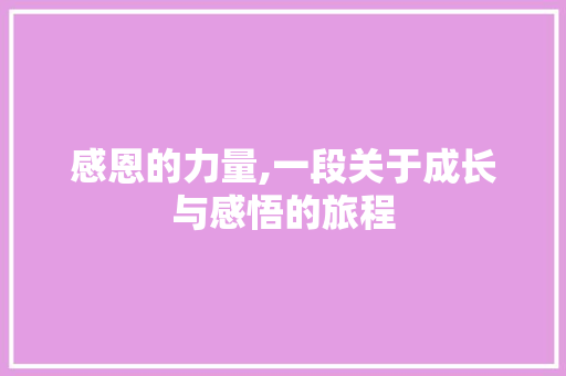 感恩的力量,一段关于成长与感悟的旅程