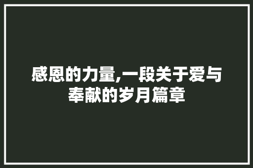 感恩的力量,一段关于爱与奉献的岁月篇章