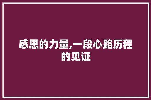 感恩的力量,一段心路历程的见证