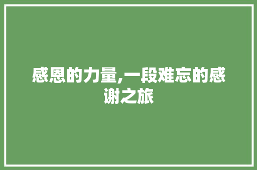 感恩的力量,一段难忘的感谢之旅