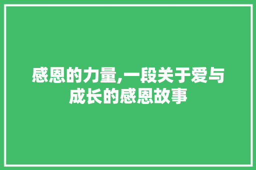 感恩的力量,一段关于爱与成长的感恩故事