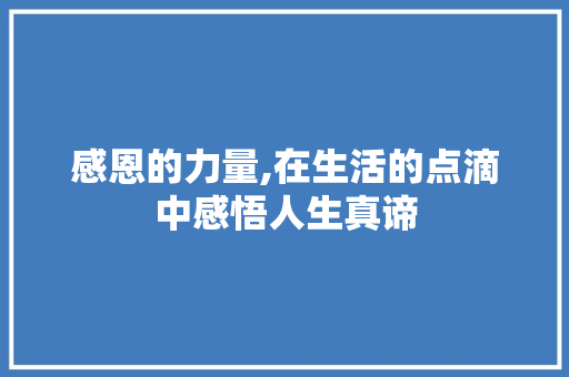 感恩的力量,在生活的点滴中感悟人生真谛