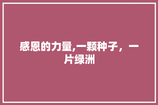 感恩的力量,一颗种子，一片绿洲