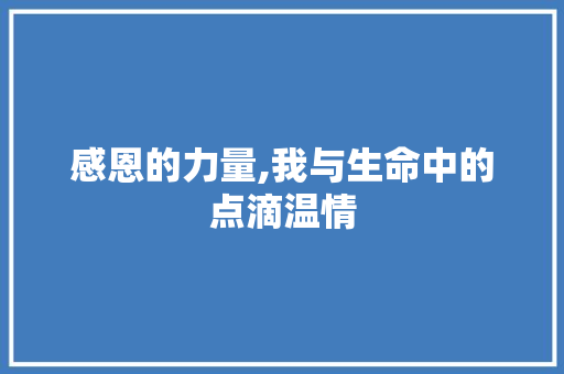 感恩的力量,我与生命中的点滴温情